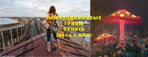 скорость Липки
